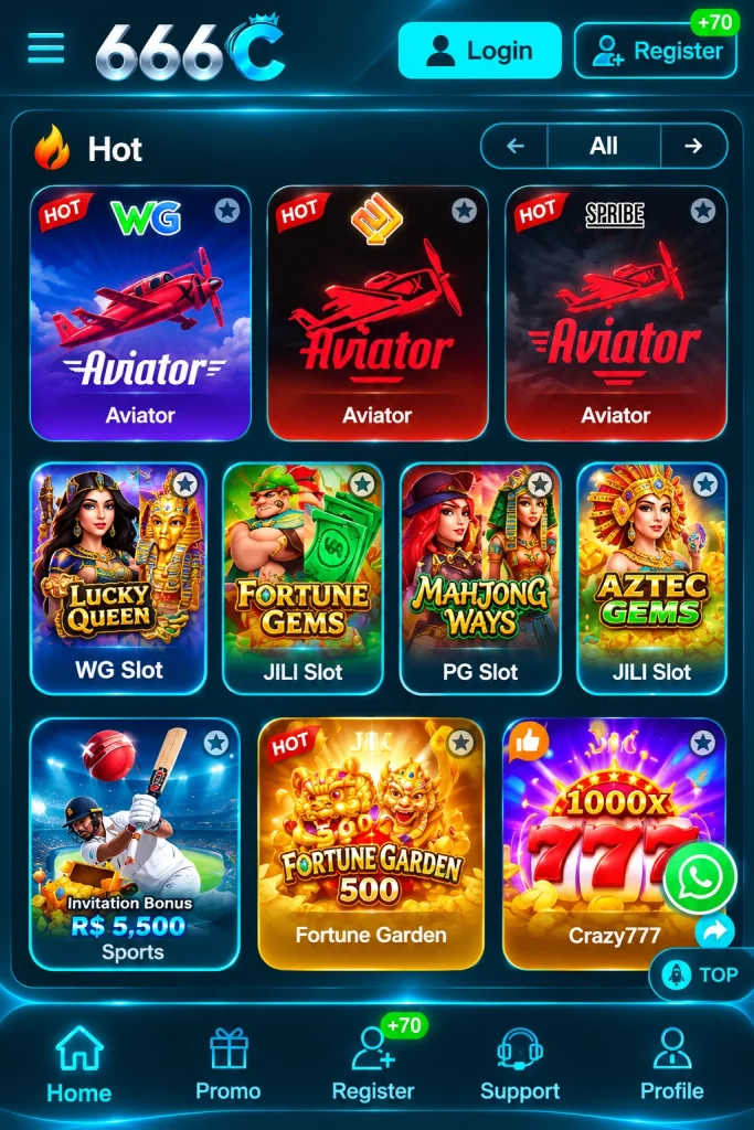 6666C Game Interface