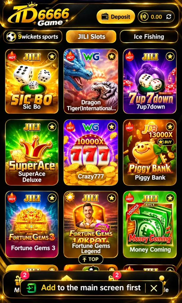 TD6666 Game Interface