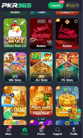 PKR365 Interface