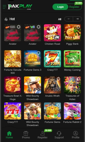 PlayPak Game Interface